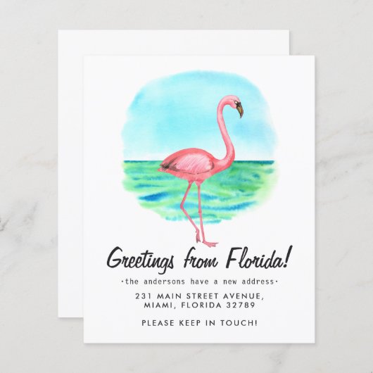 Budget Tropical Flamingo Moved New Address Moving (Vorne/Hinten)