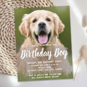 Budget Welpe Hund Geburtstagsparty Foto einladen