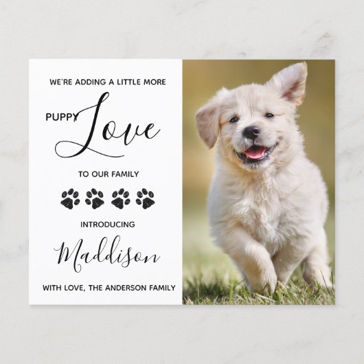 Budget Welpe Liebe Hund Neuankündigung Haustiere (Vorderseite)