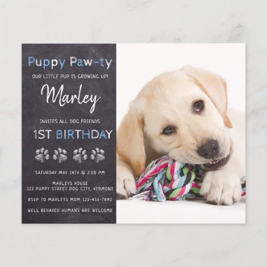 Budget Welppy Pawty Chalkboard Blue Hund Geburtsta (Vorderseite)