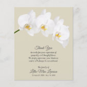 Budget White Orchid Beerdigung Gedenkstein Vielen  (Vorderseite)