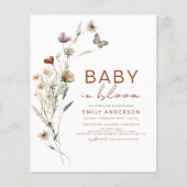 Budget Wildblume Baby in Blütendusche Terracotta (Vorderseite)