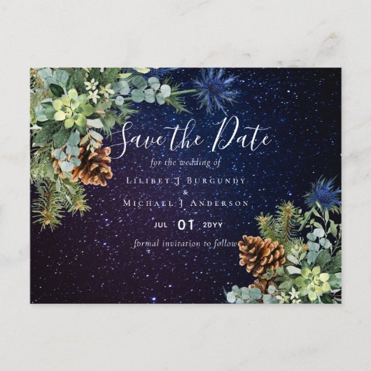 BUDGET Winter Eukalyptus Pine Cones Wedding Postkarte (Vorderseite)