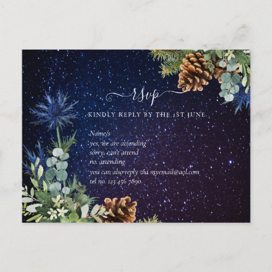 BUDGET Winter Eukalyptus Pine Cones Wedding Postkarte (Vorderseite)