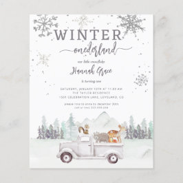 Budget Winter Onederland First Birthday Woodland