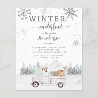 Budget Winter Onederland First Birthday Woodland