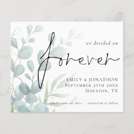 Budget Wir entschieden uns für den Eukalyptus-Rett