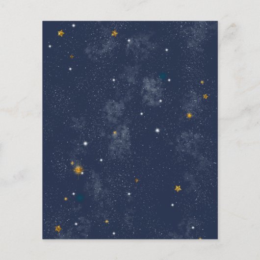 Budget Woodland Animals Night Sky Baby Sprinkle (Rückseite)