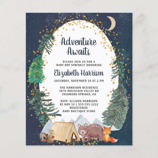 Budget Woodland Animals Night Sky Baby Sprinkle (Vorderseite)