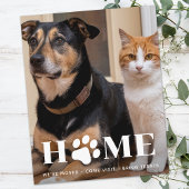 Budget Zuhause Custom Pet Foto Weve Moved Dog Movi