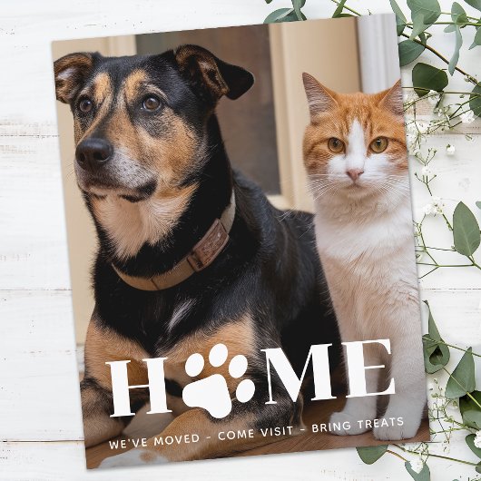 Budget Zuhause Custom Pet Foto Weve Moved Dog Movi