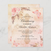 Budgetheißer Schmetterlingsgras (Vorne/Hinten)