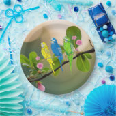 Budgetierung Pappteller (Party)