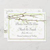 Budgetierung von Zweigen mit Birds Save the Date P Ankündigungspostkarte (Vorne/Hinten)