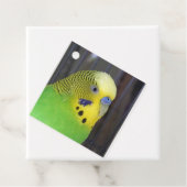 Budgie 003 geschenkanhänger (Beispiel)