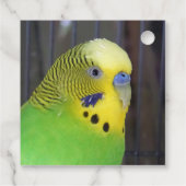 Budgie 003 geschenkanhänger (Rückseite)