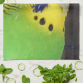 Budgie 003 geschirrtuch (Gefaltet)