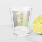 Budgie 003 schnapsglas (Rückseite)