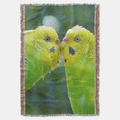 Budgie_2015_0604 Decke (Vorderseite Vertikal)