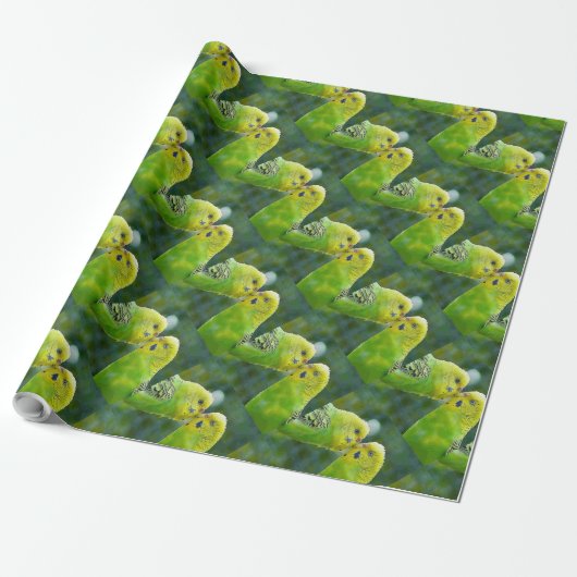 Budgie_2015_0604 Geschenkpapier (Ungerollt)