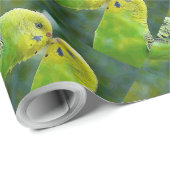 Budgie_2015_0604 Geschenkpapier (Rolleneckpunkt)