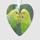 Budgie_2015_0604 Ornament (Vorderseite)