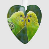 Budgie_2015_0604 Ornament (Vorderseite)