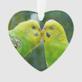 Budgie_2015_0604 Ornament (Rückseite)