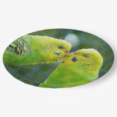 Budgie_2015_0604 Pappteller (Schrägansicht)