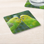Budgie_2015_0604 Rechteckiger Pappuntersetzer (angewinkelt)