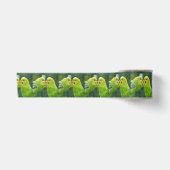 Budgie_2015_0604 Satinband (Vorderseite)
