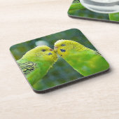 Budgie_2015_0604 Untersetzer (Linke Seite)