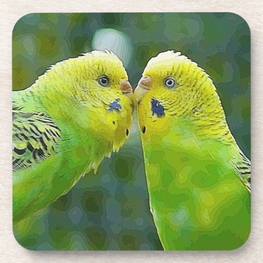 Budgie_2015_0604 Untersetzer (Vorderseite)
