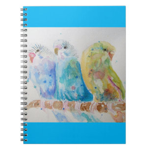 Budgie Aqua Aquamarin Notizblock