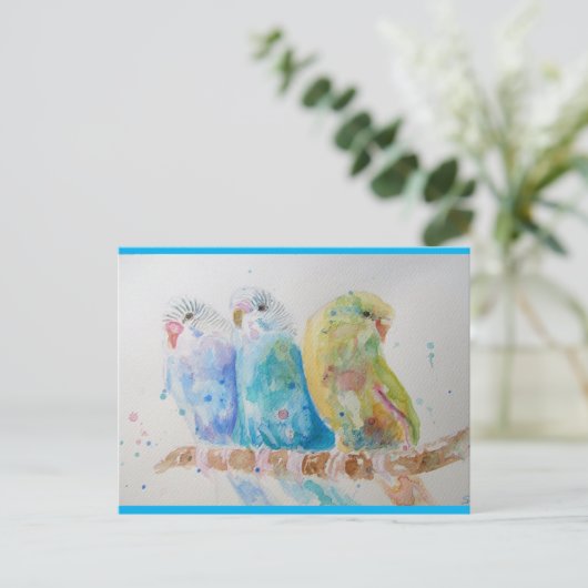 Budgie Aqua Aquamarin Postkarte (Stehend Vorderseite)