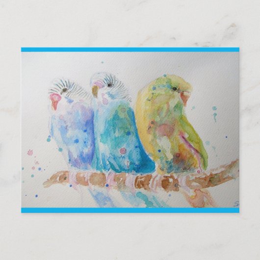 Budgie Aqua Aquamarin Postkarte (Vorderseite)