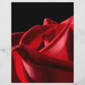 Budgie Bird Flyer (Vorne)