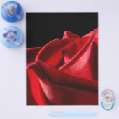 Budgie Bird Flyer (Einzeln)