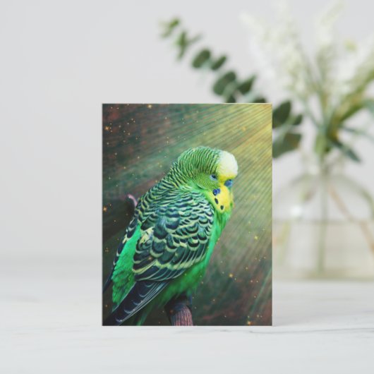 Budgie Bird Postkarte (Stehend Vorderseite)