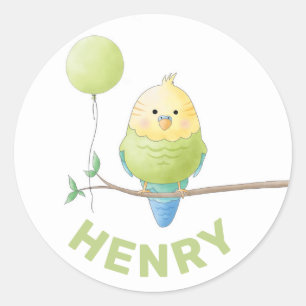 Budgie Birthday Kid's Geburtstagsticker Runder Aufkleber
