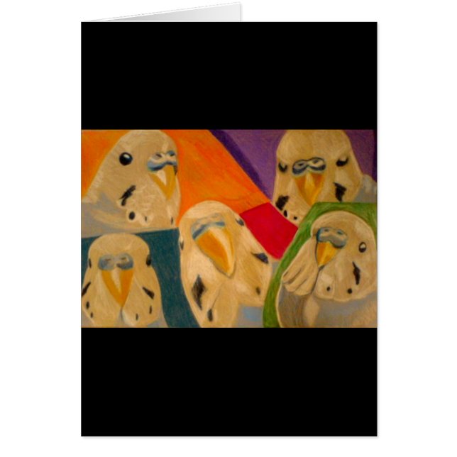 Budgie Budgerigar (Vorne)