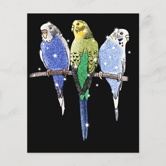 Budgie Budgerigar Glitzer Flyer (Vorne)
