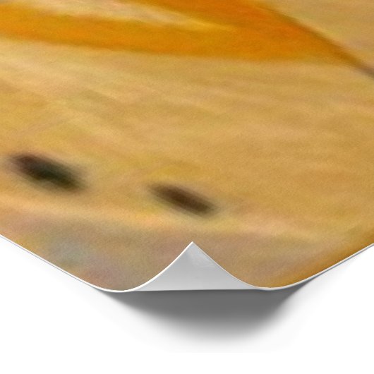 Budgie Budgerigar Poster (Ecke)