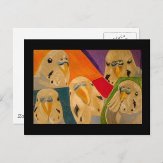 Budgie Budgerigar Postkarte (Vorne/Hinten)