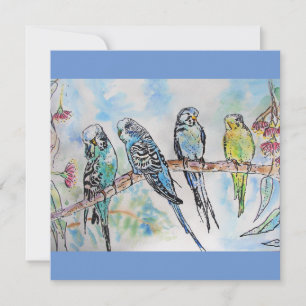 Budgie Budgies Watercolor Painting Bird Card Karte
