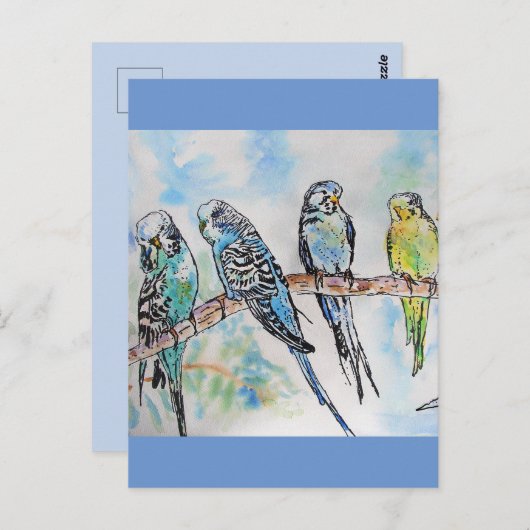 Budgie Budgies Watercolor Painting Bird Card Postkarte (Vorne/Hinten)
