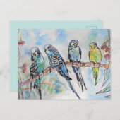 Budgie Budgies Watercolor Painting Bird Card Postkarte (Vorne/Hinten)