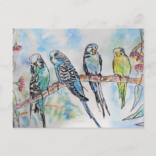 Budgie Budgies Watercolor Painting Bird Card Postkarte (Vorderseite)