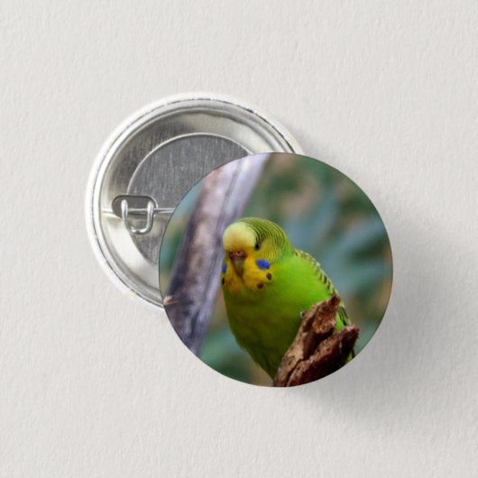 Budgie Button (Vorne & Hinten)