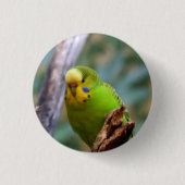 Budgie Button (Vorderseite)